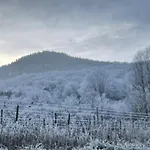 Le Relais Du Piemont - Mont Sainte-odile- Champs Du Feu *