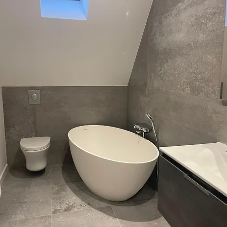 Le Relais Du Piemont - Mont Sainte-odile- Champs Du Feu