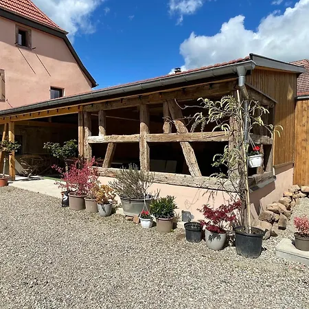 Le Relais Du Piemont 6 Pers Ottrott Vignes & Montagnes Ottrott