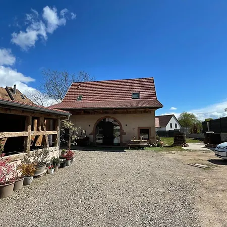 Tatil Evi Le Relais Du Piemont 6 Pers Ottrott Vignes & Montagnes