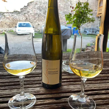 Tatil Evi Le Relais Du Piemont 6 Pers Ottrott Vignes & Montagnes *
