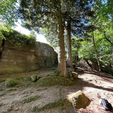 Tatil Evi Le Relais Du Piemont 6 Pers Ottrott Vignes & Montagnes *
