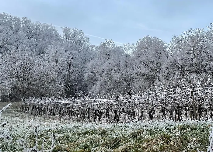 Holiday home Le Relais Du Piemont - Mont Sainte-odile- Champs Du Feu