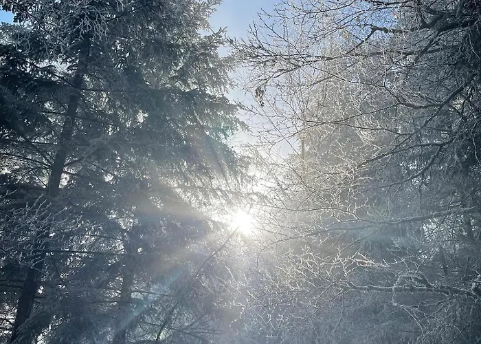 Le Relais Du Piemont - Mont Sainte-odile- Champs Du Feu Holiday home *