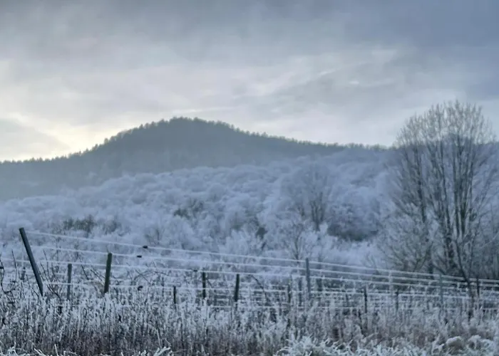 Le Relais Du Piemont - Mont Sainte-odile- Champs Du Feu *