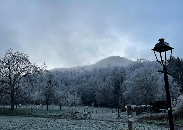 Holiday home Le Relais Du Piemont - Mont Sainte-odile- Champs Du Feu