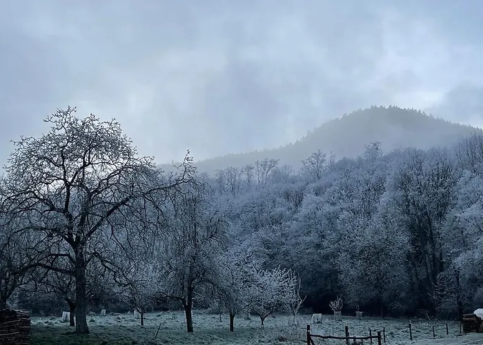Le Relais Du Piemont - Mont Sainte-odile- Champs Du Feu Ottrott
