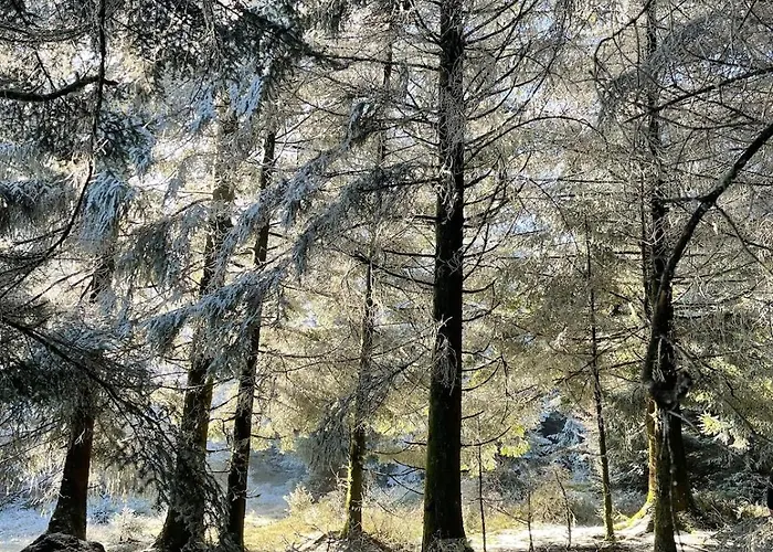 Le Relais Du Piemont - Mont Sainte-odile- Champs Du Feu Holiday home