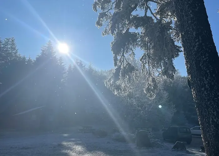 Le Relais Du Piemont - Mont Sainte-odile- Champs Du Feu