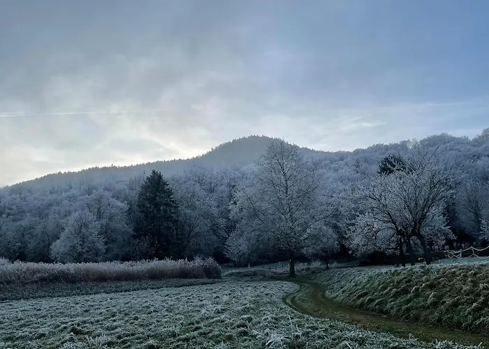 Le Relais Du Piemont - Mont Sainte-odile- Champs Du Feu Holiday home