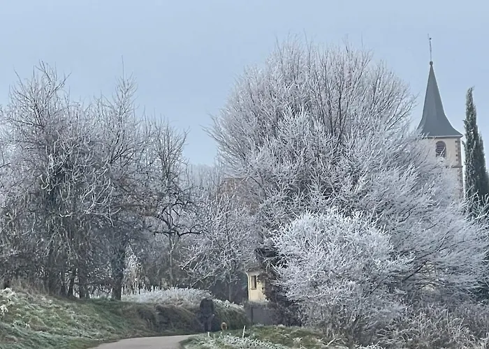 Le Relais Du Piemont - Mont Sainte-odile- Champs Du Feu Holiday home