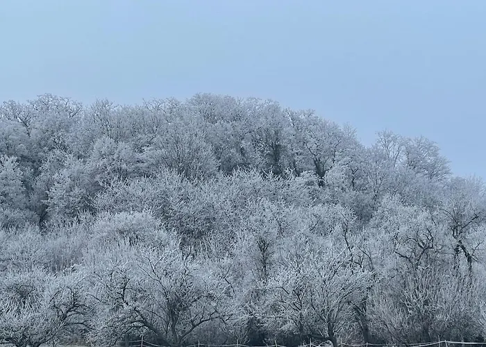 Holiday home Le Relais Du Piemont - Mont Sainte-odile- Champs Du Feu Ottrott